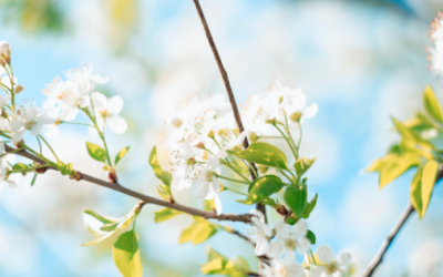 Yeaaaah, het is lente!
